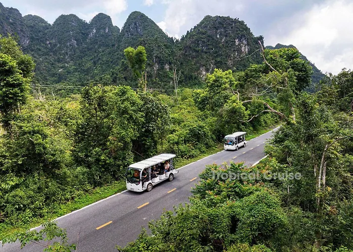 Aristo Hạ Long